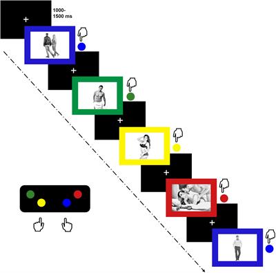 Interplay between sexual excitation and inhibition: impact on sexual function and neural correlates of erotic stimulus processing in women